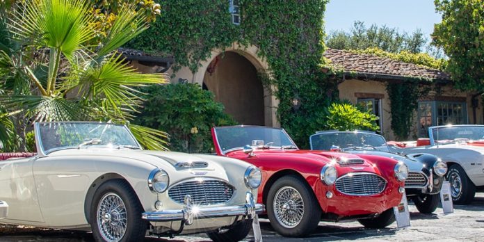 Austin Healey's at Pasadera Concours